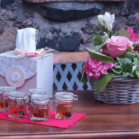 Mas Les Albas Casa de Férias *