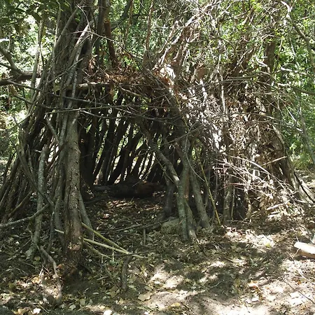 Casa de Férias Mas Les Albas