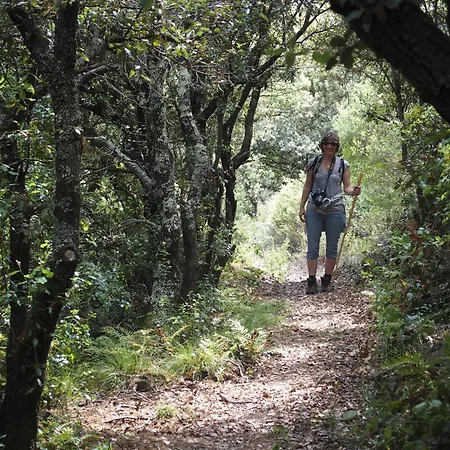 Mas Les Albas Casa de Férias *
