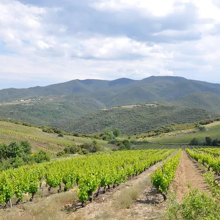 Mas Les Albas Casa de Férias Felluns