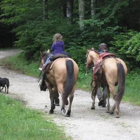 Mas Les Albas Casa de Férias *