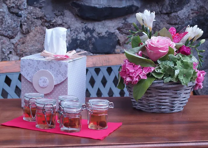 Mas Les Albas Nyaraló *