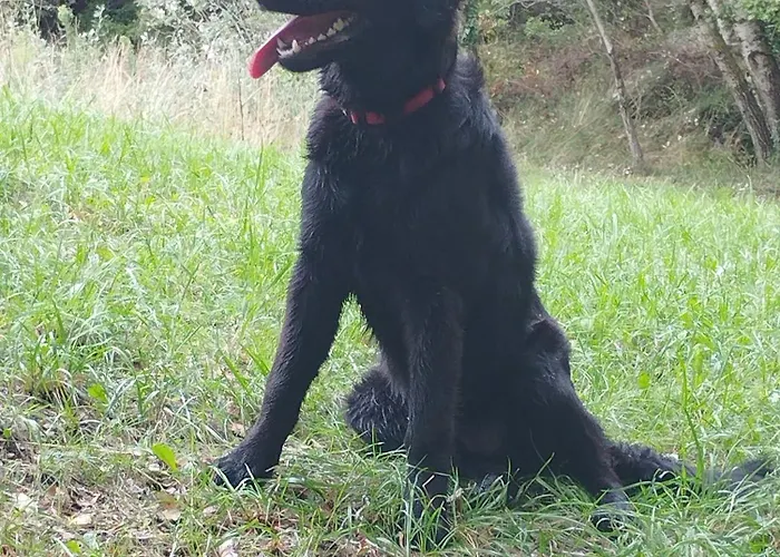 Nyaraló Mas Les Albas *