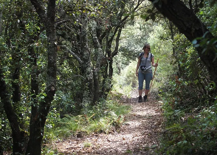 Mas Les Albas Nyaraló *