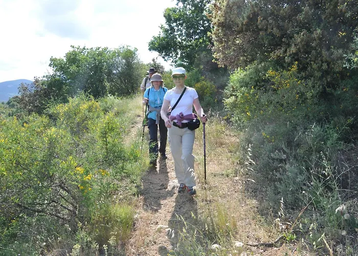 Mas Les Albas * Felluns