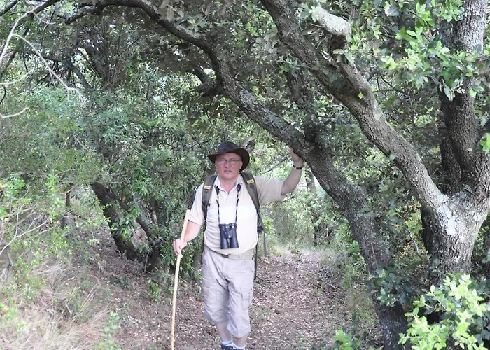 Mas Les Albas Felluns