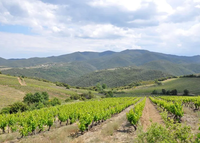 Mas Les Albas Nyaraló Felluns