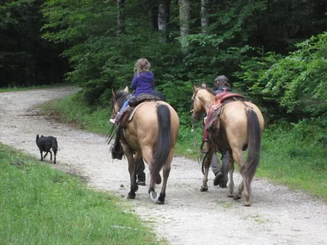 Mas Les Albas Nyaraló *