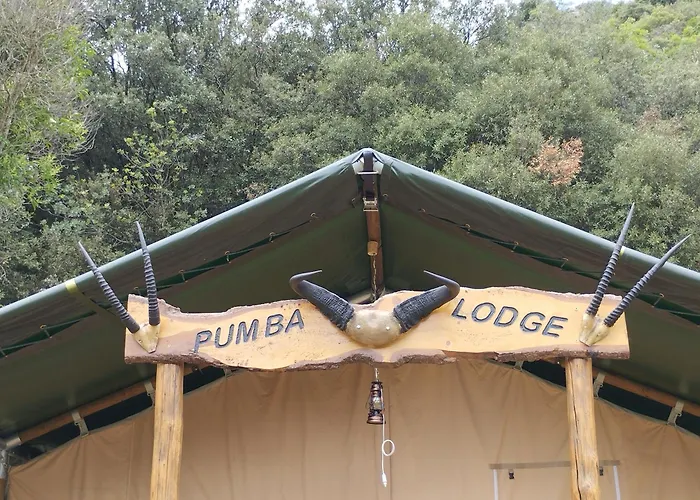 Mas Les Albas * Felluns